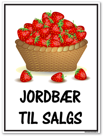 jordbær til salgs